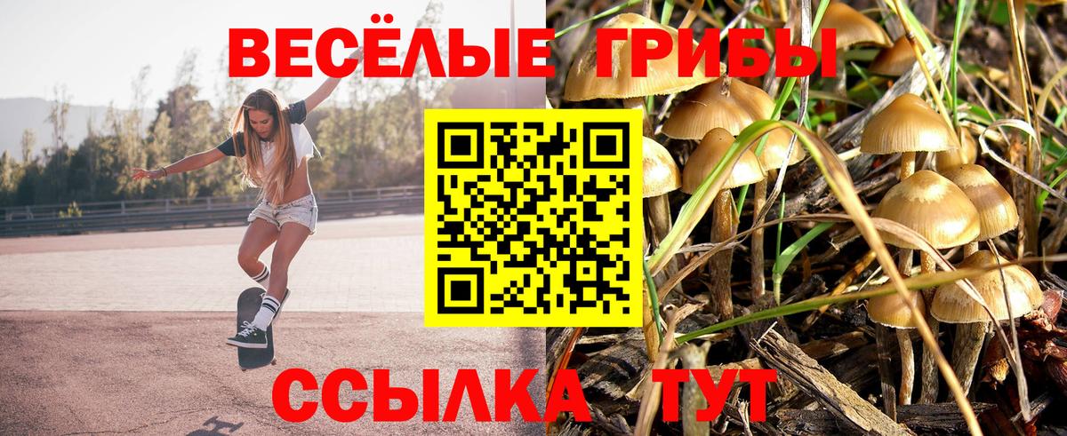 Каменск-Шахтинский  Галлюциногенные грибы MAGIC MUSHROOMS  Вход с VPN 
